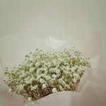 cindy pesek - @cindypesek96 - Instagram