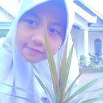 cindy pesek - @pesek1888 - Instagram
