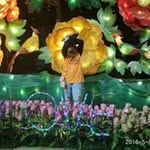 Cindy Pesek - @pesek900 - Instagram