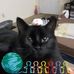 Cindy Pickens - Facebook