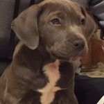 Cindy Pickens Grissom - @cinnyx5 - Instagram