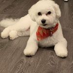 Cindy Lauder Pieper - @cindy.l.pieper - Instagram