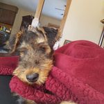 Cindy Pomeroy - @cindy.pomeroy.75 - Instagram