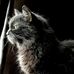 Cindy Pomeroy - Facebook