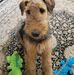 Cindy Pomeroy - Facebook