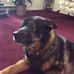 Cindy Pomeroy - Facebook