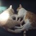 Cindy Ponko - Facebook