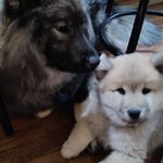 cindyprather - @floofsontheloose - Instagram