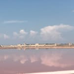 Cindy Prokop - @cindypro06 - Instagram