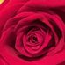 Cindy Prokop - Facebook