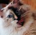 Cindy Prokop - Facebook