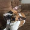 Cindy Prokopyshen - @cindyprokopyshen - TikTok