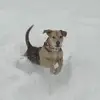 Cindy Collie Puckett - @cindycolliepuckett - TikTok