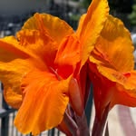Cindy Murray Puckett - @murraypuckett - Instagram