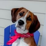 Cindy Puckett - @packofpucketts - Instagram