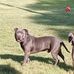 Cindy Puckett - Facebook