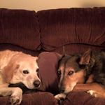 Cindy Reece - @cindy.reece.56 - Instagram