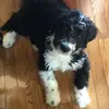 cindyriegerschwab - @cindyriegerschwab - TikTok