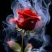Cindy Ries - Facebook