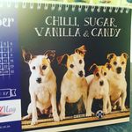 Cindy Riley - @cindy_lou_riley - Instagram