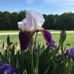 Cindy Riley - @cindy_riley - Instagram