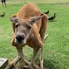 Cindy Riley - @cindyriley0 - TikTok