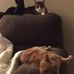Cindy Riordan - Facebook