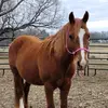 Cindy_Roach - @cindy_roach - TikTok