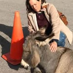 Cindy Roach - @cindyroach1959 - Instagram
