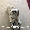 cindyroladerroach - @cindyroladerroach - TikTok
