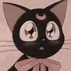 Cindy the Cat | Cindy Roach - @cindy_29020 - TikTok