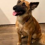 Cindy Rodgers - @cindy.rodgers.52643 - Instagram