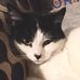 Cindy Rodgers - Facebook