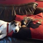 Cindy Roll Chastulik - @chastulik - Instagram