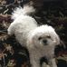 Cindy Rounds - Facebook