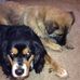 Cindy Royster - Facebook