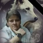 Cindy Royster - Facebook