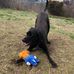 Cyndi Rubino - Facebook