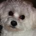 Cindy Rushing - Facebook