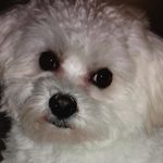 Cindy Rushing - @cindy_rushing - Instagram