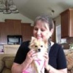 Cindy Sadler - @cindycilantro - Instagram