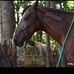Cindy Sain Mahoney - Facebook