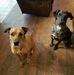 Cindy Schaffer - Facebook