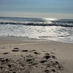 Cindy Schaffer Jalinski - @jrzshoremom - Instagram