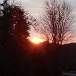 Cindy Shafer - @cindy.shafer.963 - Instagram