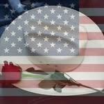 Cindy Shafer Wiley - @cindywiley - Instagram