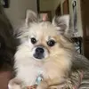 Nyla’s world - @cindysherk - TikTok