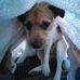 Cyndi Shipp - Facebook
