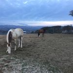 Cindy Simms - @cindysimms99 - Instagram