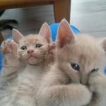 Cindy Simons - @simons5657 - Instagram